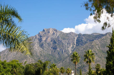 Image 14