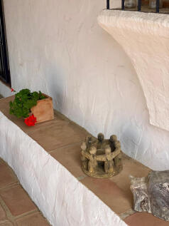 Image 14