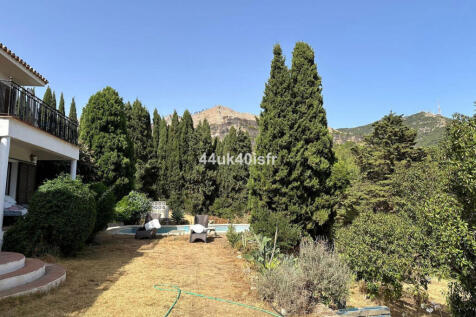 Image 13