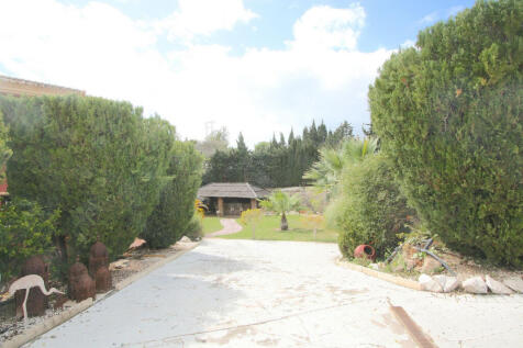 Image 49