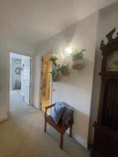 Image 14