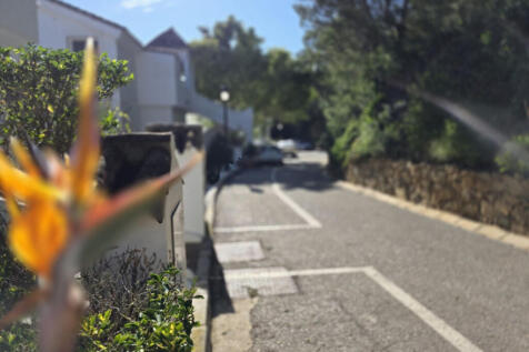 Image 29