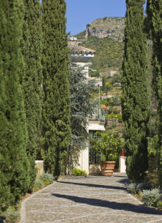 Image 15