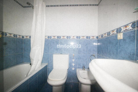 Image 19