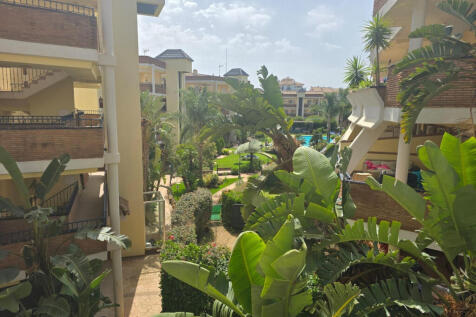 Image 14