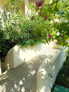 Image 17