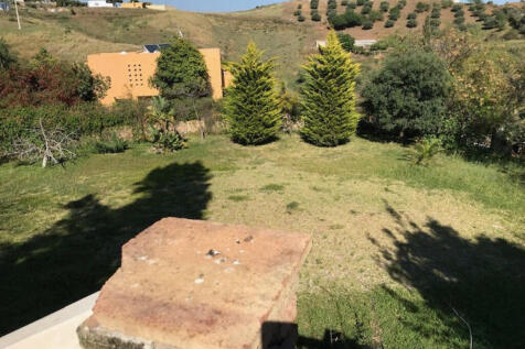 Image 33