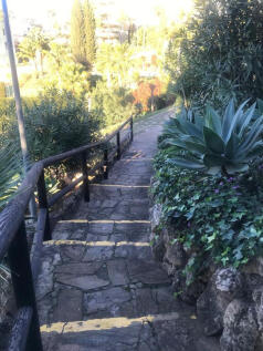 Image 33