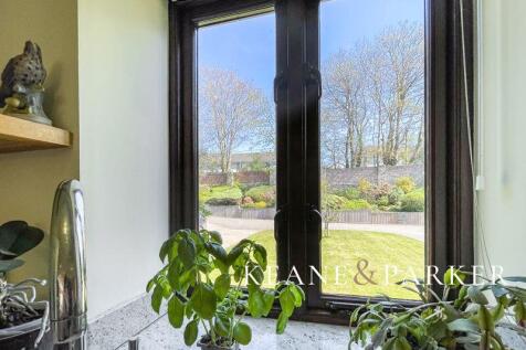 View From Kitchen