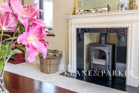 Log Burner