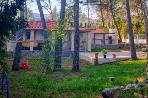 Property Image 26