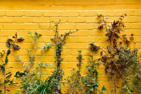 Urban Garden