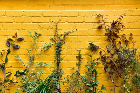 Urban Garden