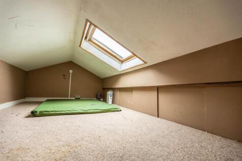 41aSGBrad-210325-33.jpg