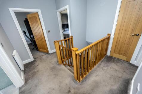 9SJVHipp-110425-31.jpg