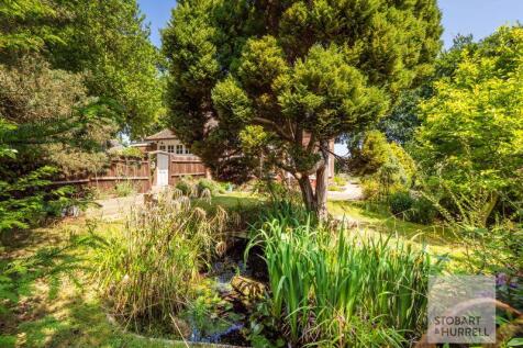 Pond Life