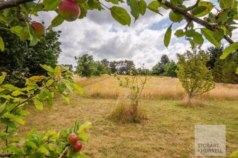 Through The Orchard