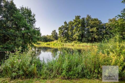 River View