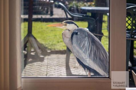 Visitor