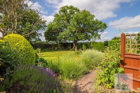 Established Planting