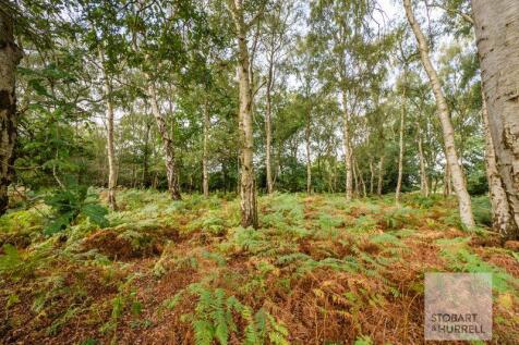 Woodlands