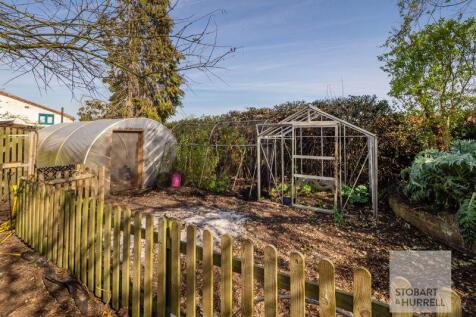Vegetable Patch