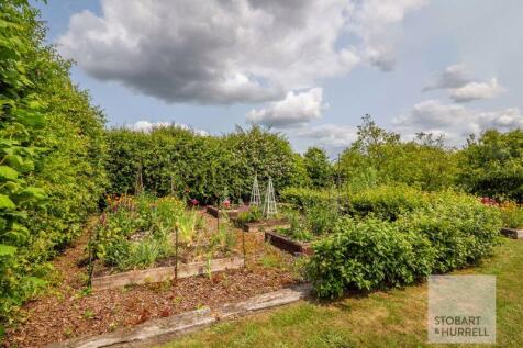 Vegetable Plot