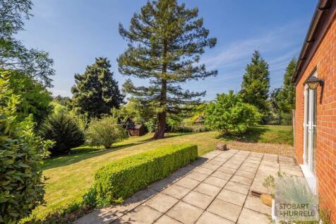 Terrace Outlook