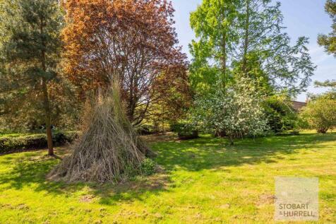 Den Building