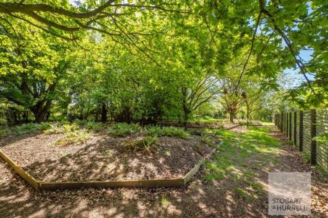 Woodland