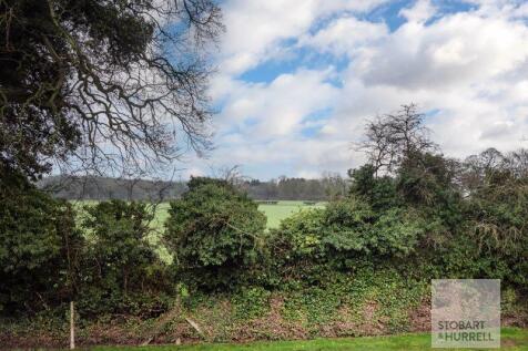 Field Views
