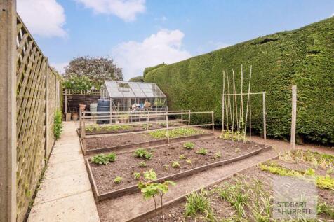 Vegetable Plot