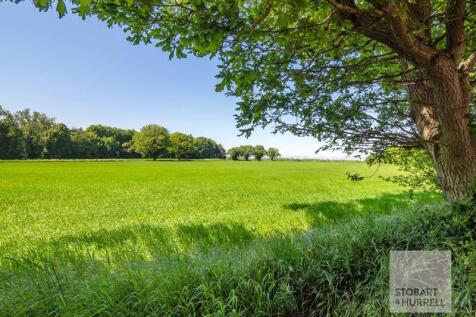 Meadow View