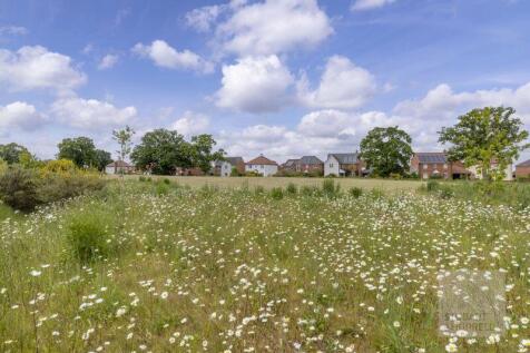 Wildflower Frontage