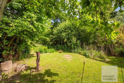 Mature Garden
