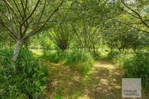 Woodland Walk