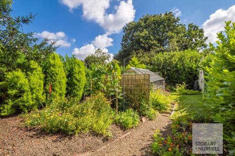 Vegetable Plot