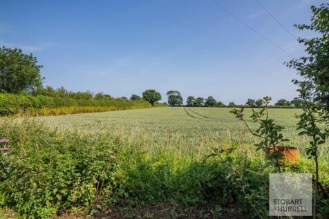 Field Views