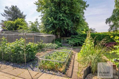 Vegetable Garden