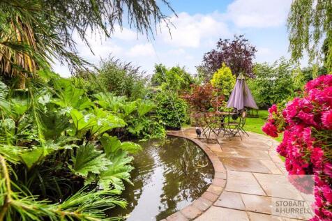 Pond Life