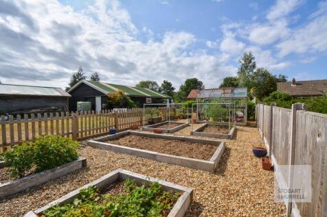 Vegetable Plot
