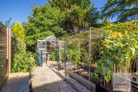 Vegetable Plot