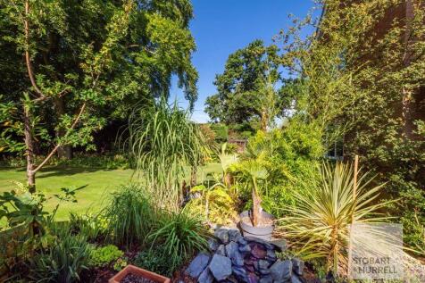 Established Planting