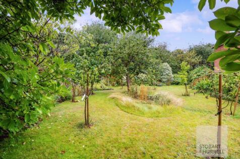 Orchard