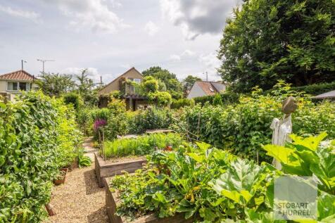 Vegetable Plot