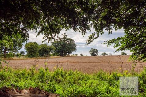 Field Views