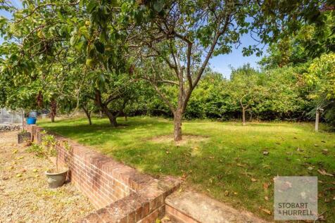 Orchard