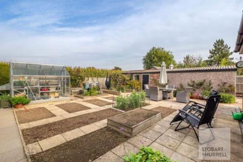 Vegetable Plot