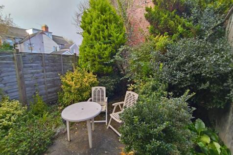 Rear garden (3)