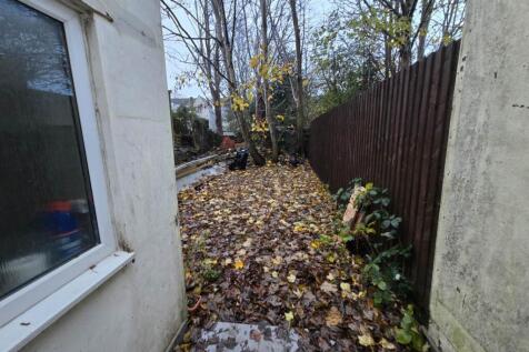 Rear garden (2)